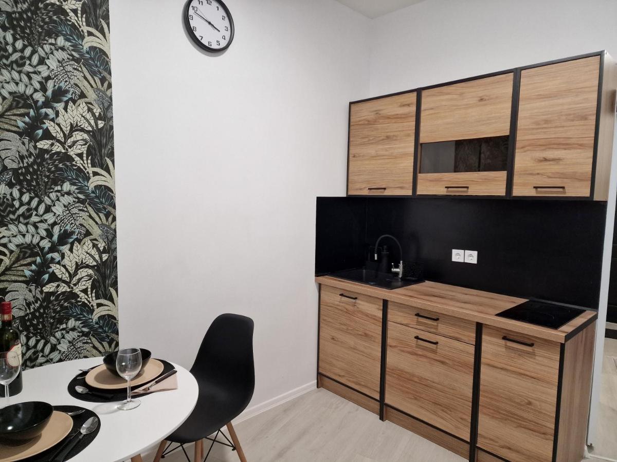 Schmidt Apartman Miskolc Belvarosaban מראה חיצוני תמונה